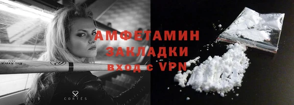 индика Тихвин