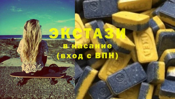 шишки Аркадак